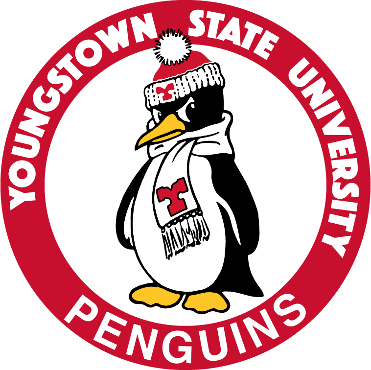 Youngstown State Penguins 1979-2007 Primary Logo diy DTF decal sticker